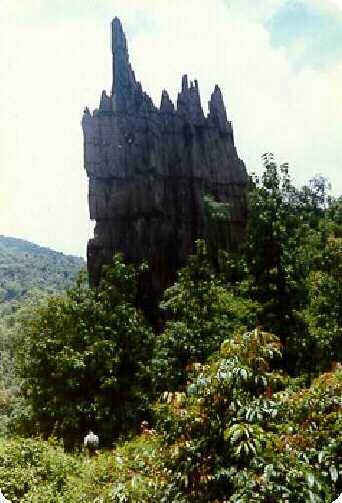 Yaana in Karnataka, India